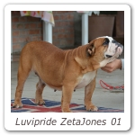Luvipride ZetaJones 01