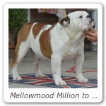 Mellowmood Million to One 01