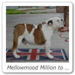 Mellowmood Million to One 03