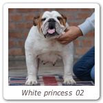 White princess 02